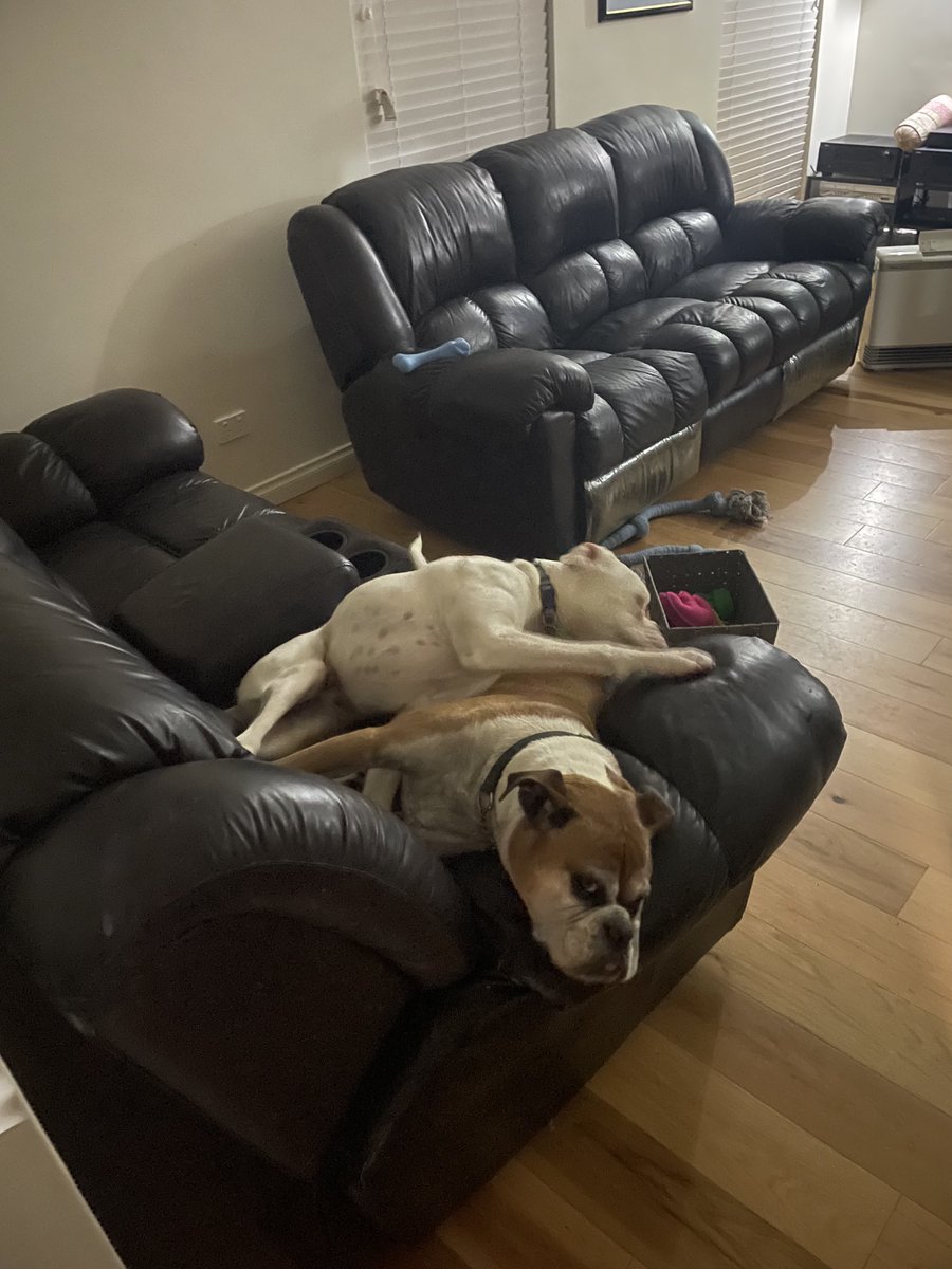 mully1968's tweet image. Poor Turbo 🤣