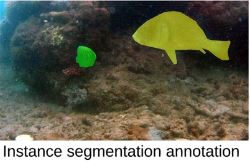 AgtacJcu's tweet image. Can image segmentation systems for fish analysis help reduce the costs of fish monitoring &amp;amp; provide potential efficiency towards achieving sustainable fisheries?
@rahimi_mostafa &amp;amp; @alzayats @JCU &amp;amp; colleagues @mcgillu investigated nature.com/articles/s4159…
#agtech