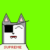 Square Face Cats tweet media