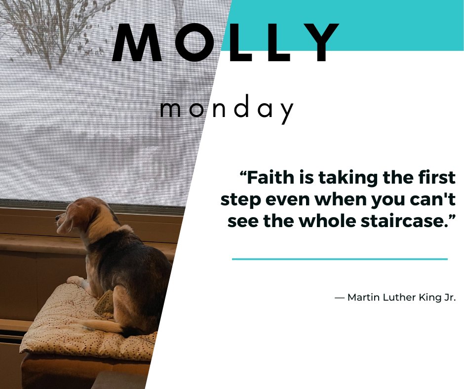 WhollyORG's tweet photo. You SO got this! #mollymonday Start and take one small step. https://t.co/EH8hepOayE