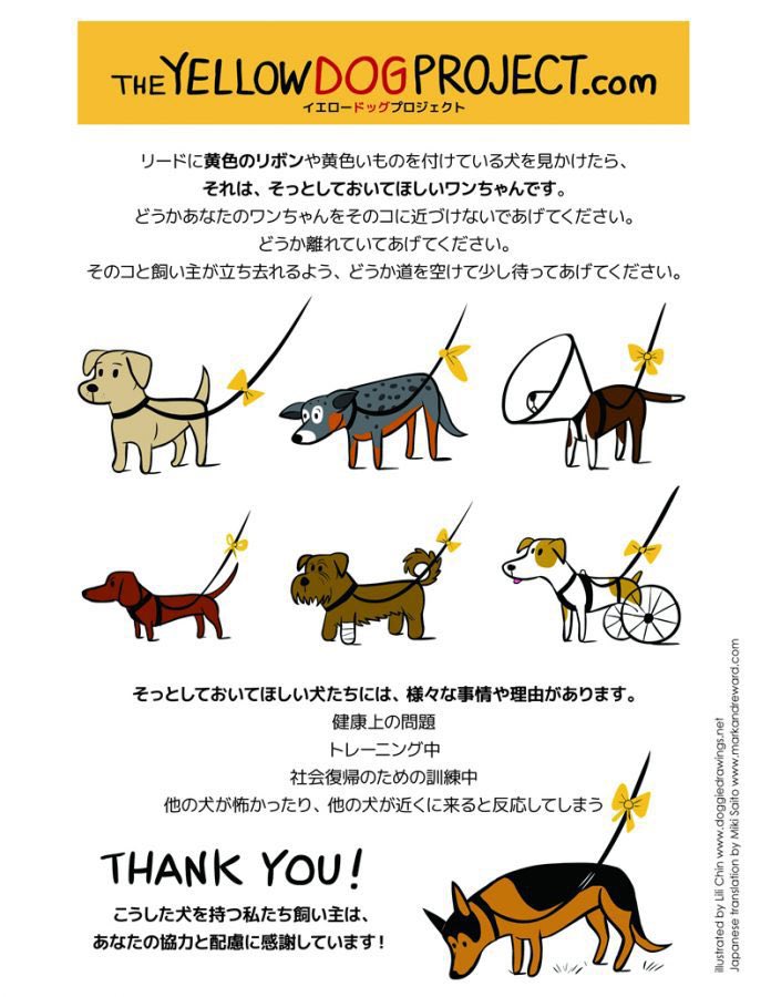 Robinwoffumoffu's tweet photo. 自分ちの子に該当するか否かは関係なくて知ってたほうがみんなハッピーなことってあるよねぇ😊
それにこれは皆いつか自分の子もお世話になる可能性あるしね。
#イエロードッグプロジェクト
#THEYELLOWDOGPROJECT
#認知度あがれ https://t.co/9jHGyEFWWF