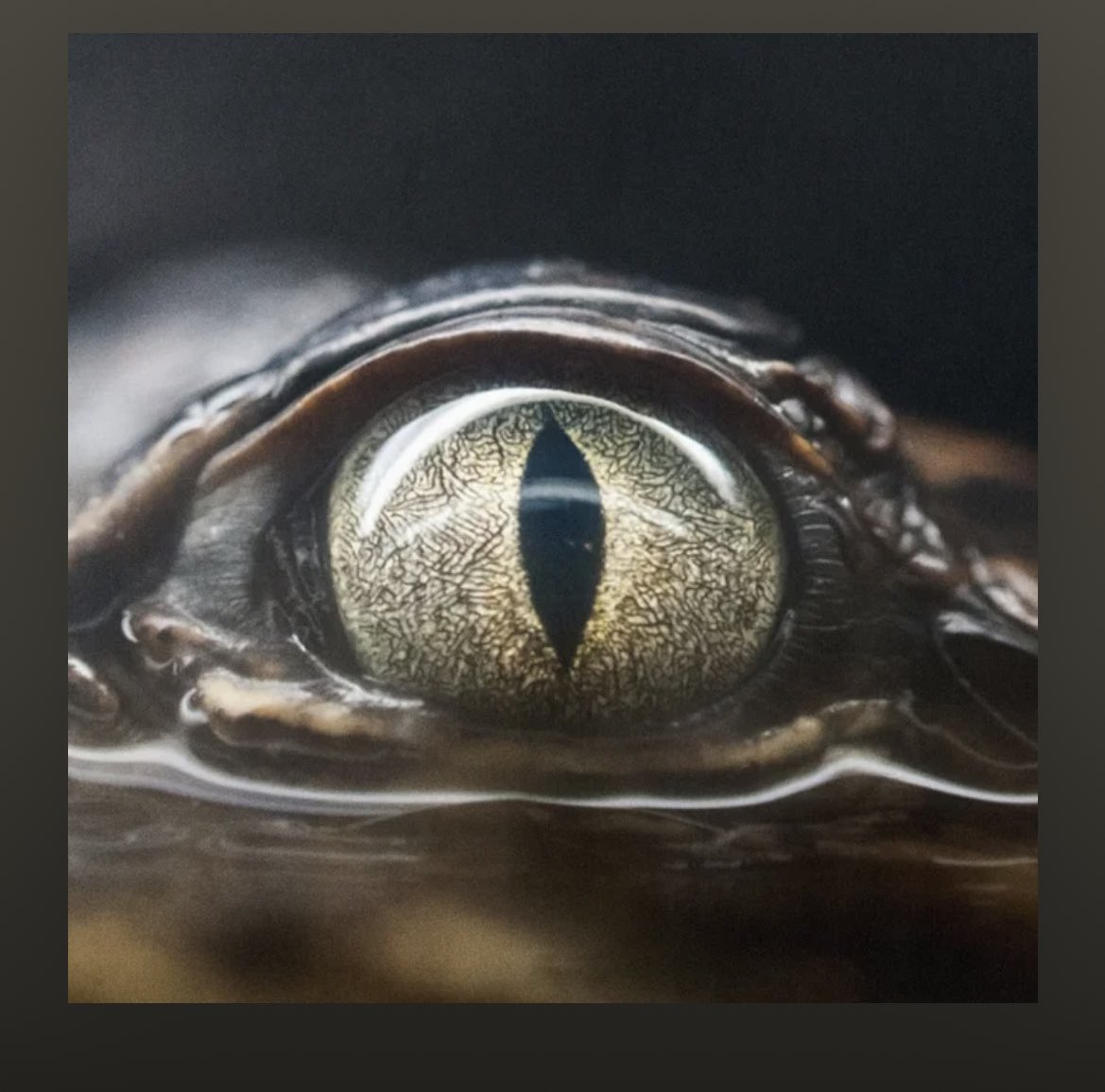 Te escuchare hasta que me quede sordo