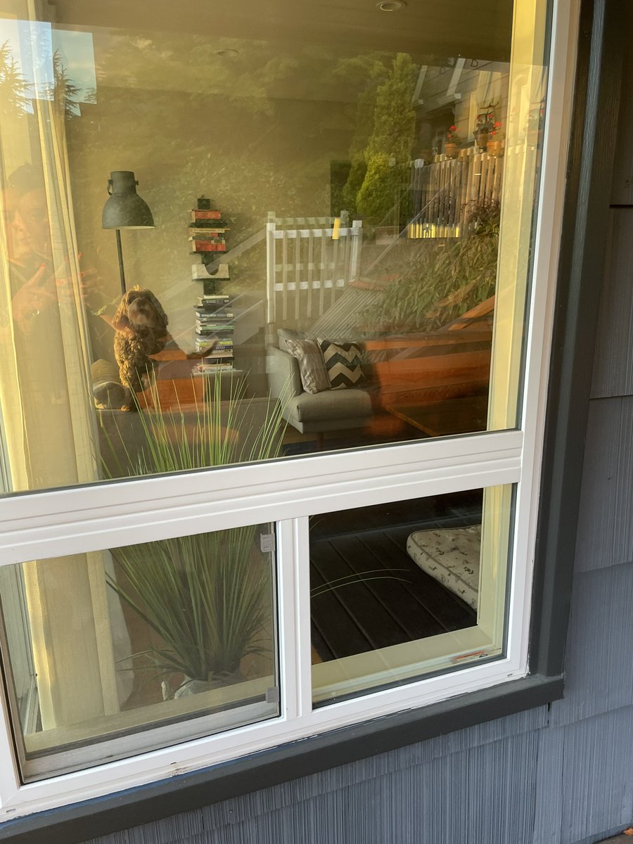 heyjenp's tweet photo. Took a chance with @vrbo and this is how it’s going. Currently standing outside of our confirmed rental. The place isn’t clean, and there are two dogs inside. Our key code? Yep, it works. This has never happened with @airbnb. https://t.co/Jgwd6Zdkb5