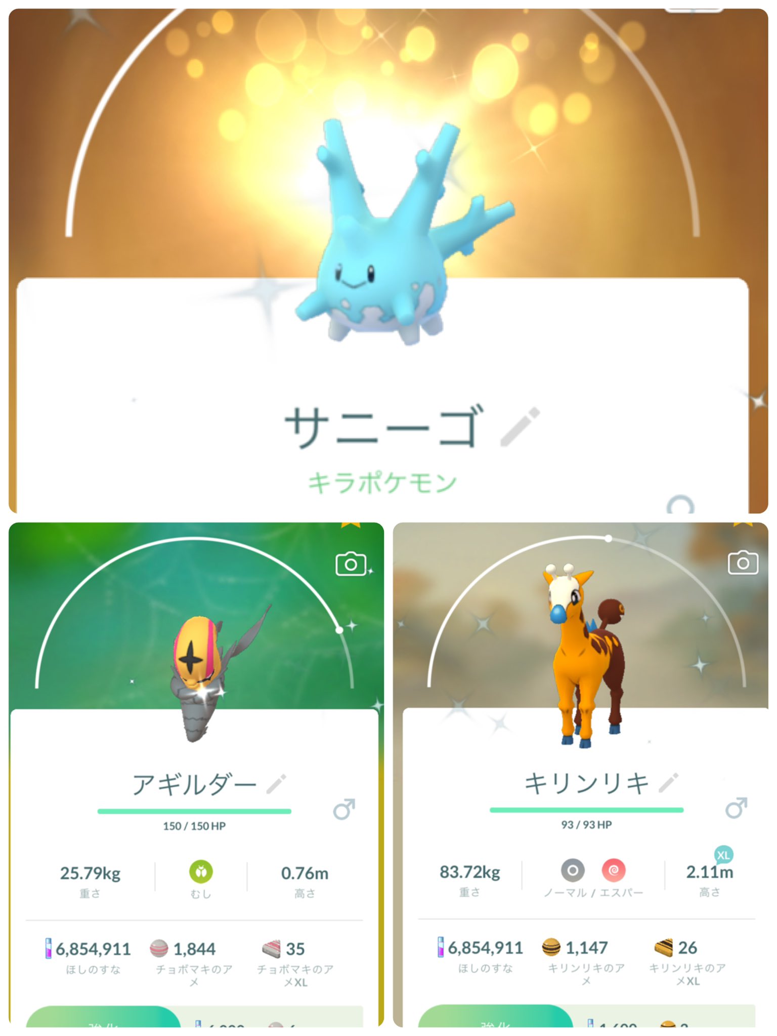 色違いサニーゴ Twitter Search Twitter
