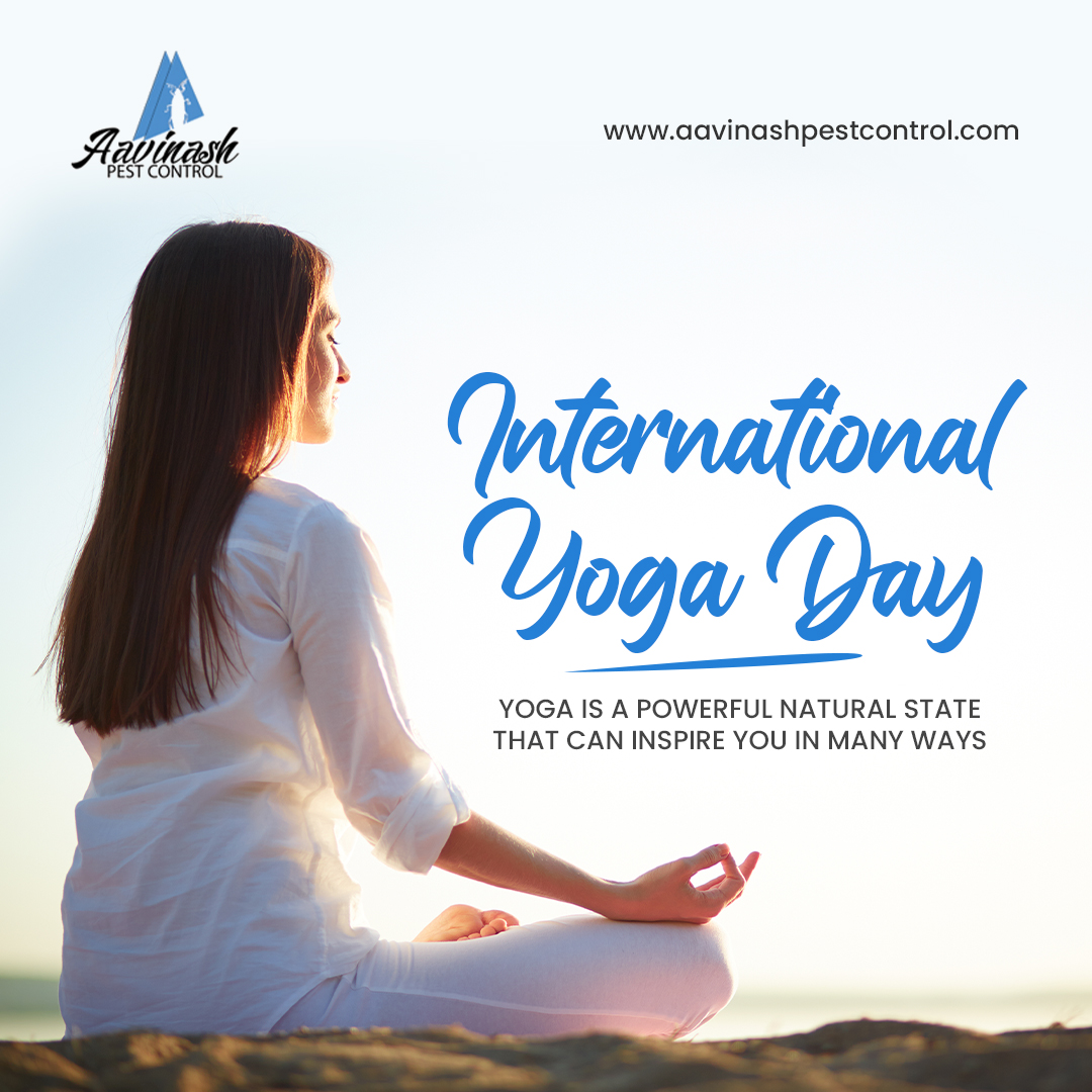 AavinashPest's tweet image. A healthy mind resides in a healthy body and both of these are possible only with yoga. On the occasion of International Yoga Day.

#InternationalYogaDay🧘 #YogaDay #YogaDay2022 #YogaForHumanity🧘🏾‍ #YogaForLife #YogaForWellness🧘🏾‍ #AavinashPestControl #Chennai #India 🇮🇳