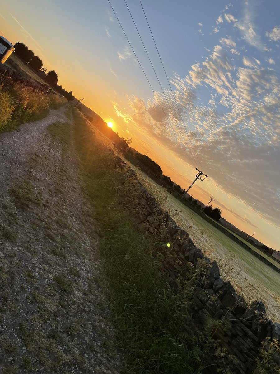 Anne Harrop tweet media