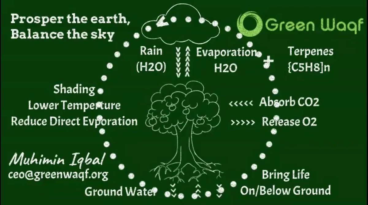 AbaAbdirrahim's tweet photo. Tree is a green Gold that you can convert into green energy. 

Planting in dead earth the instructions are in QS 36:33-34, in arid earth in QS 22:5, especially in fertile earth QS 2:265.

Source: ceo@nue.asia https://t.co/vWQULHmbsM