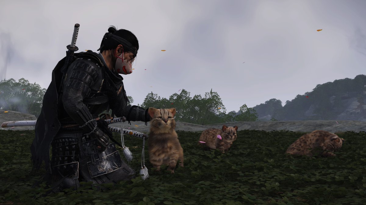 Nekos #GhostOfTsushima  #PS5Share, #GhostofTsushima