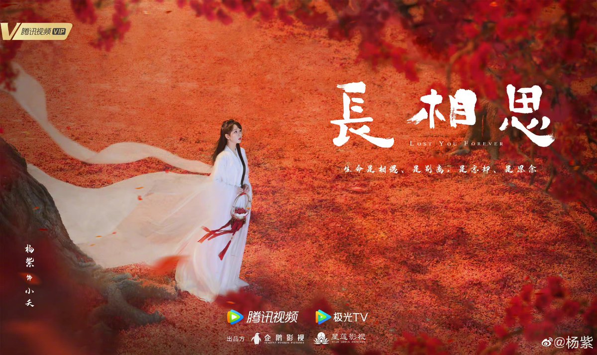 midnightbliss01's tweet photo. 062122 #YangZi Weibo Update with the first official poster of #LostYouForever 
“Life is an encounter, departure, missing and longing.”
#杨紫 #长相思 https://t.co/7gFYuVht0W