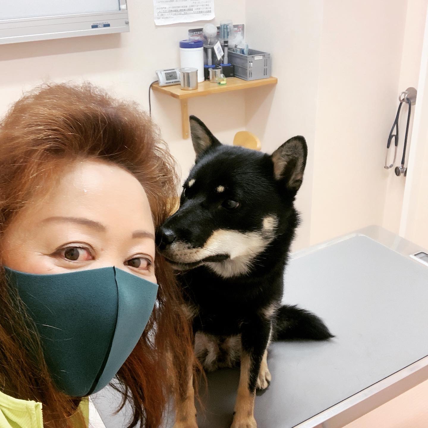 北海道犬くるみ Twitter Search Twitter