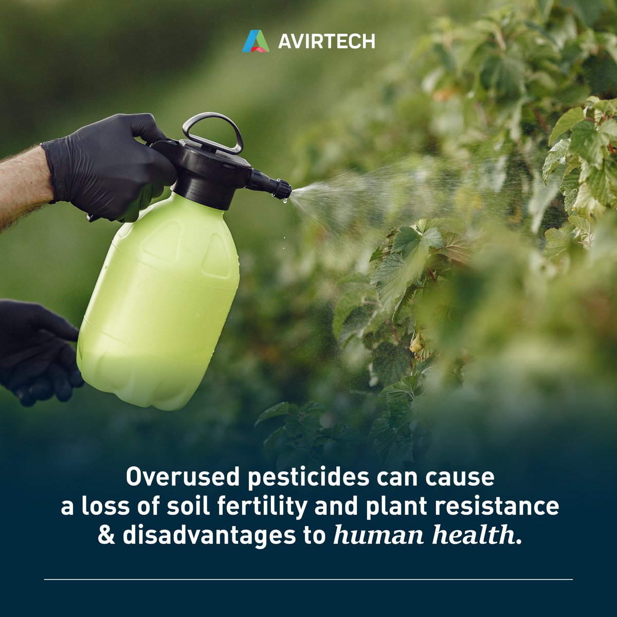 Avirtech9's tweet image. It is where technology comes to agriculture to control the use of #pesticides and create a better #sprayingsystem. 💯

Then, how does technology change the #farmingsystem? 
🧐Find the answer more at avirtech.co/blog.