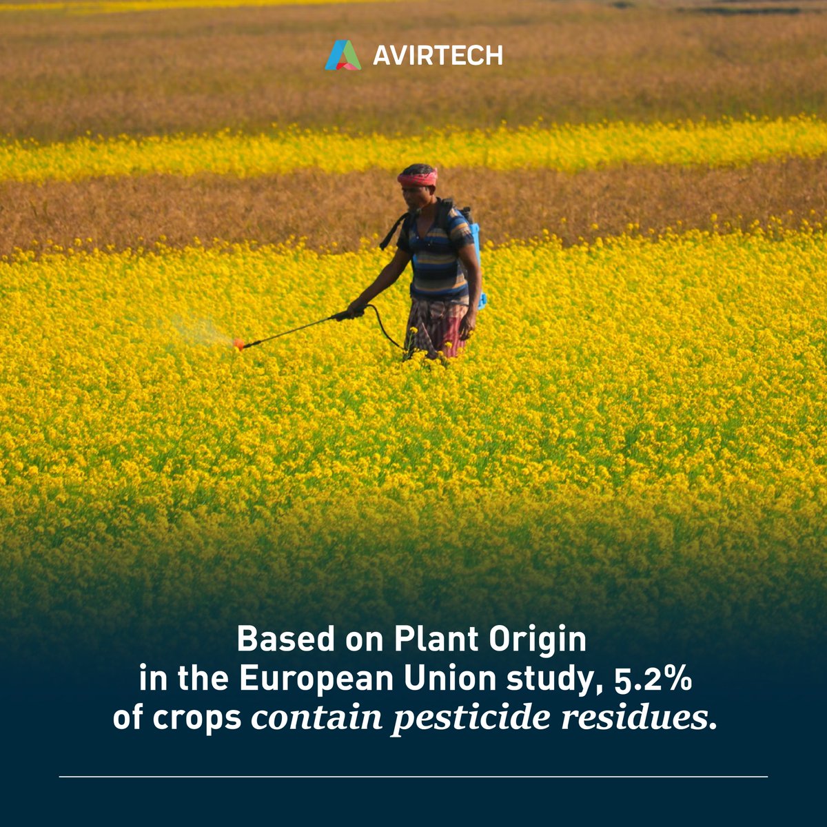 Avirtech9's tweet image. It is where technology comes to agriculture to control the use of #pesticides and create a better #sprayingsystem. 💯

Then, how does technology change the #farmingsystem? 
🧐Find the answer more at avirtech.co/blog.
