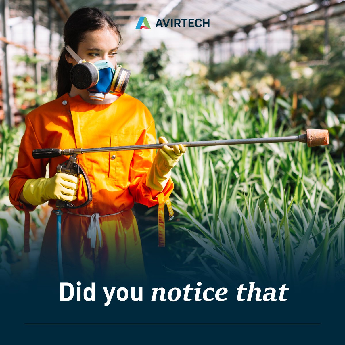 Avirtech9's tweet image. It is where technology comes to agriculture to control the use of #pesticides and create a better #sprayingsystem. 💯

Then, how does technology change the #farmingsystem? 
🧐Find the answer more at avirtech.co/blog.