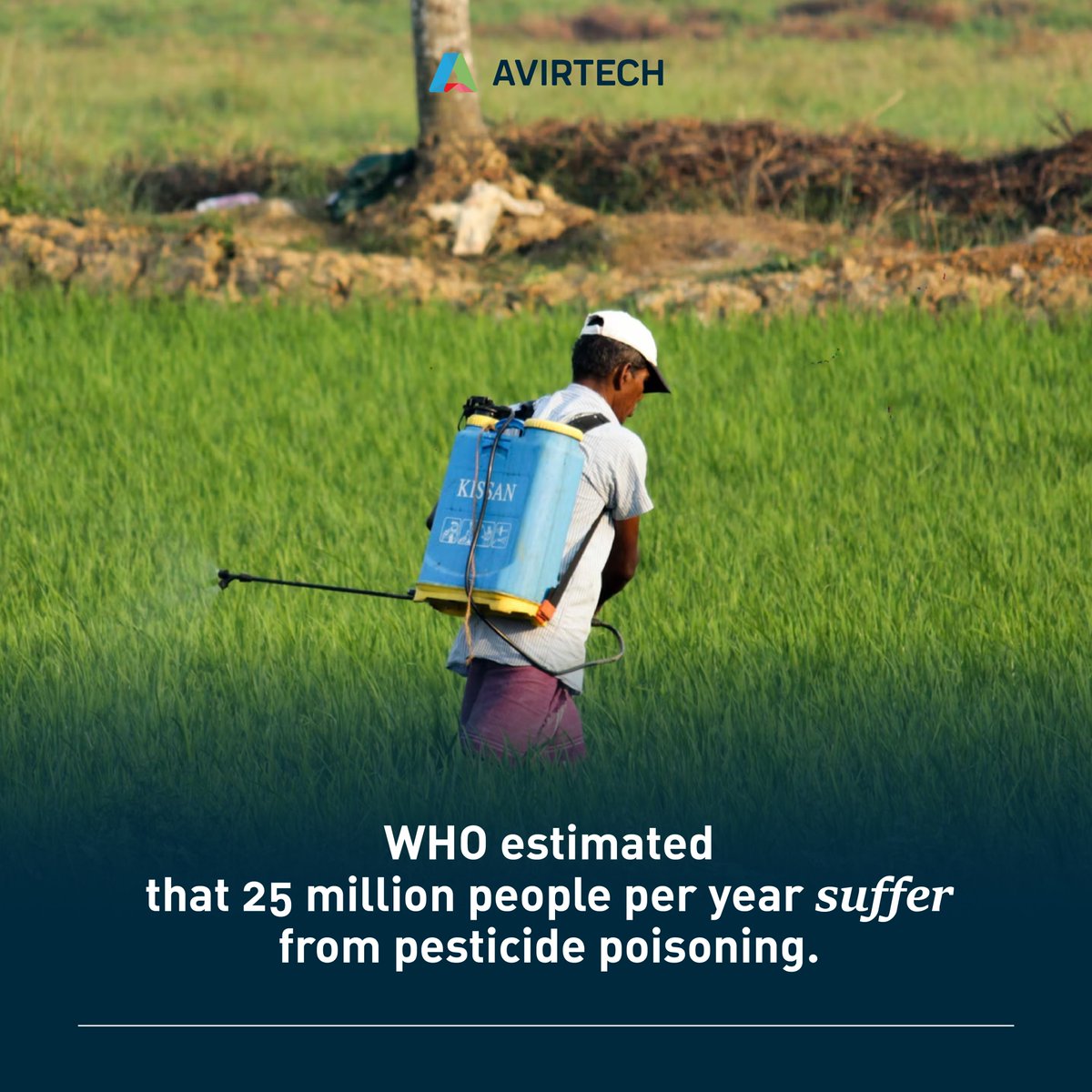 Avirtech9's tweet image. It is where technology comes to agriculture to control the use of #pesticides and create a better #sprayingsystem. 💯

Then, how does technology change the #farmingsystem? 
🧐Find the answer more at avirtech.co/blog.