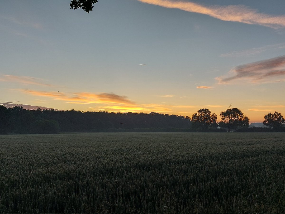 moonmothermn's tweet photo. #sunrise #solstice #lincolnshire https://t.co/eDzSSNyeJT