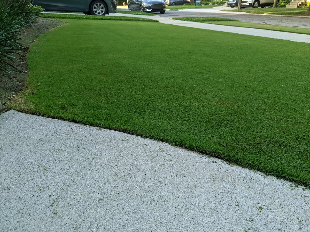 Ben werthmann tweet media