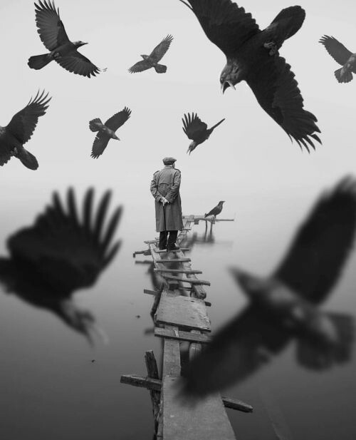 literlandweb1's tweet photo. "Claro que creo en los sueños. Soñar es esencial, puede ser la única cosa real que exista".
Jorge Luis Borges https://t.co/wVnKyWoGmX