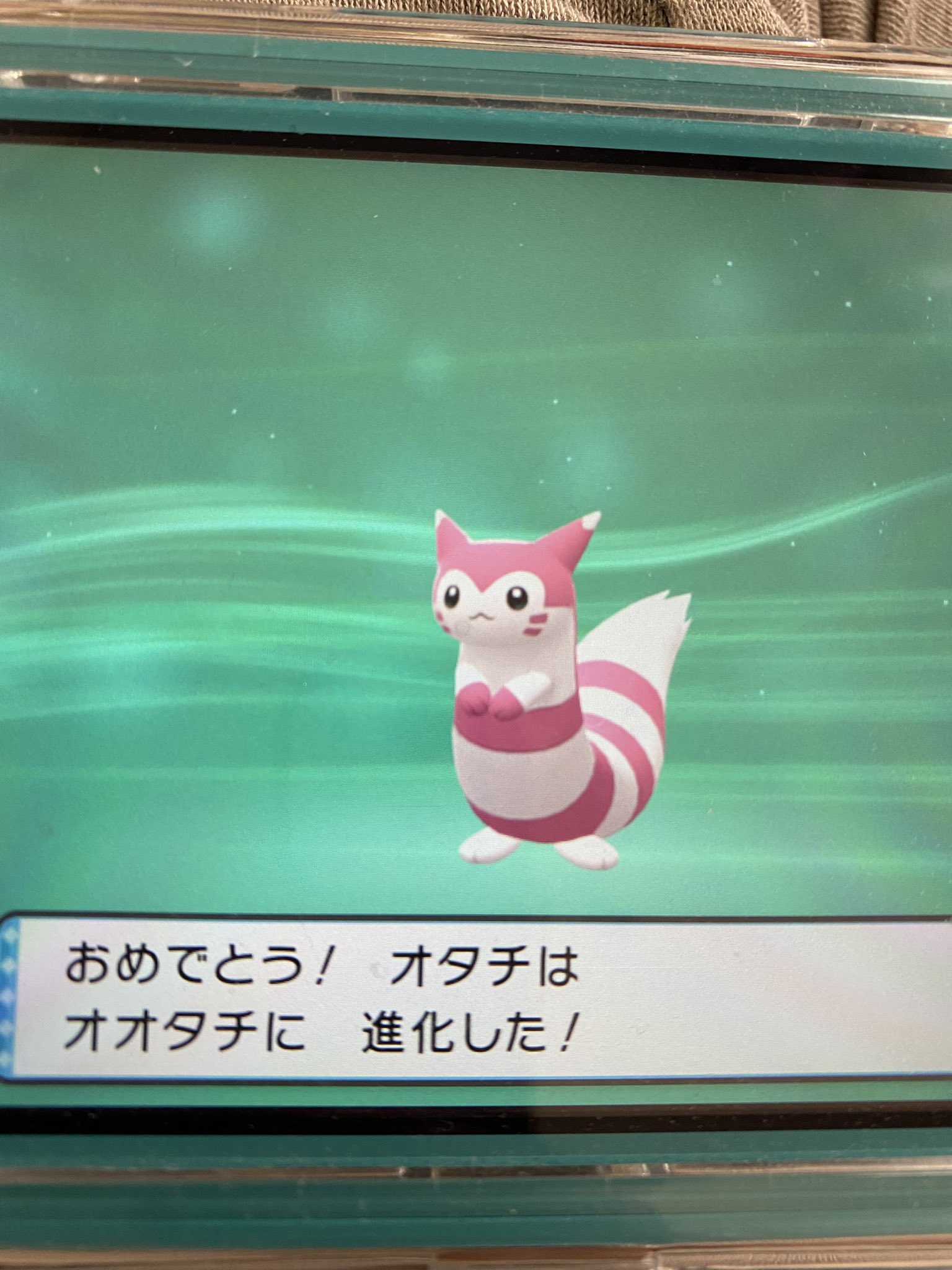 Ykrn0806 ポケトレ0連鎖からの色違いオタチ 進化したらめちゃ可愛い ダイパリメイク オオタチ 色違い T Co Tcoevcjuwb Twitter