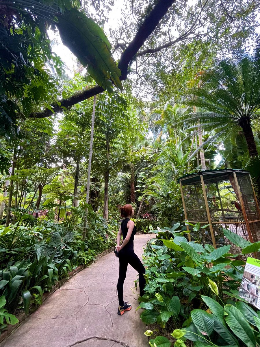 macykober's tweet photo. Seeing green 🌿🔋🐛

📷: @yo_monalissa https://t.co/2ScmYcFO3T