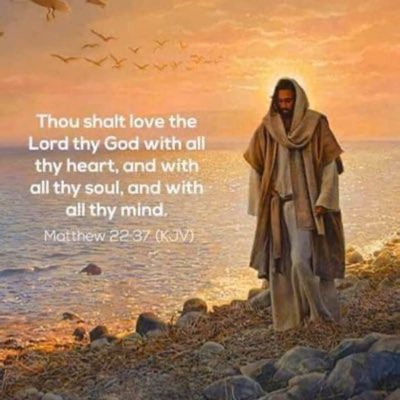 Bubacarr cham tweet media