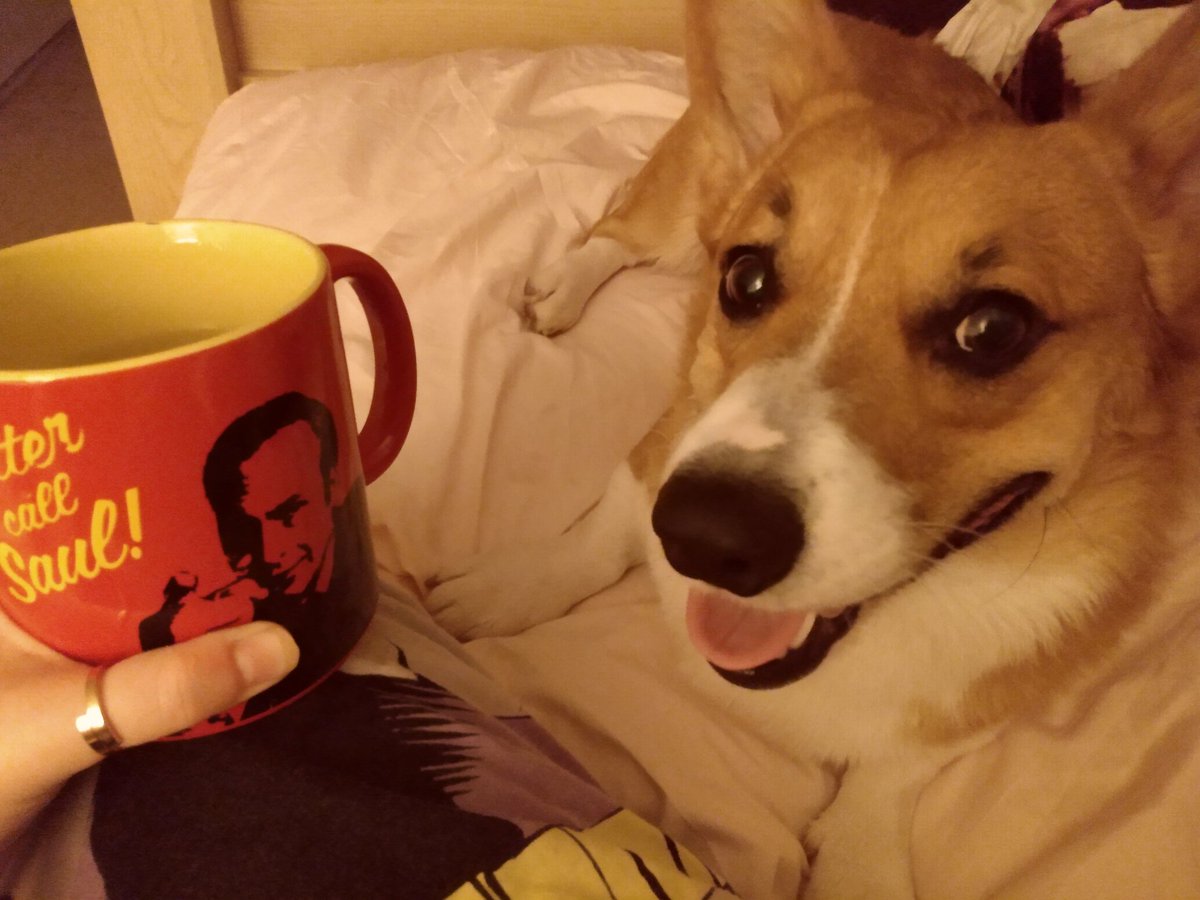 InactiveGoblin's tweet photo. "Hey, Mom...can I have a drink?"
#BetterCallSaul #CorgiMom #DimLighting #CorgiCrew https://t.co/tznJnljijw
