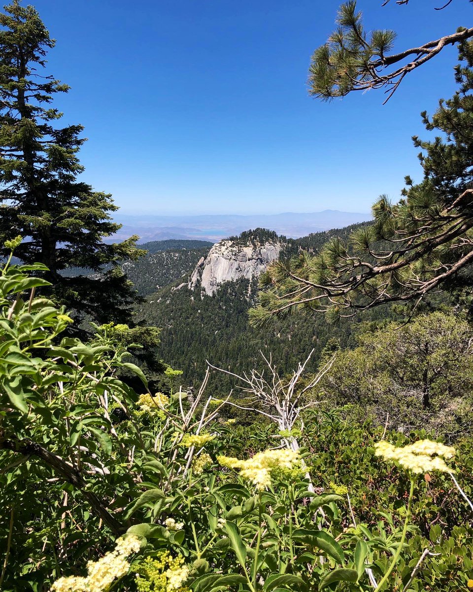 doomdeath's tweet photo. hiking adventure with Kirk 6/19/22
•
•
•
#devilsslidetrail
#idyllwild
#hiking
#sanjacintomountains
#tahquitzrock
#saddlejunction https://t.co/gZEvbdV30d