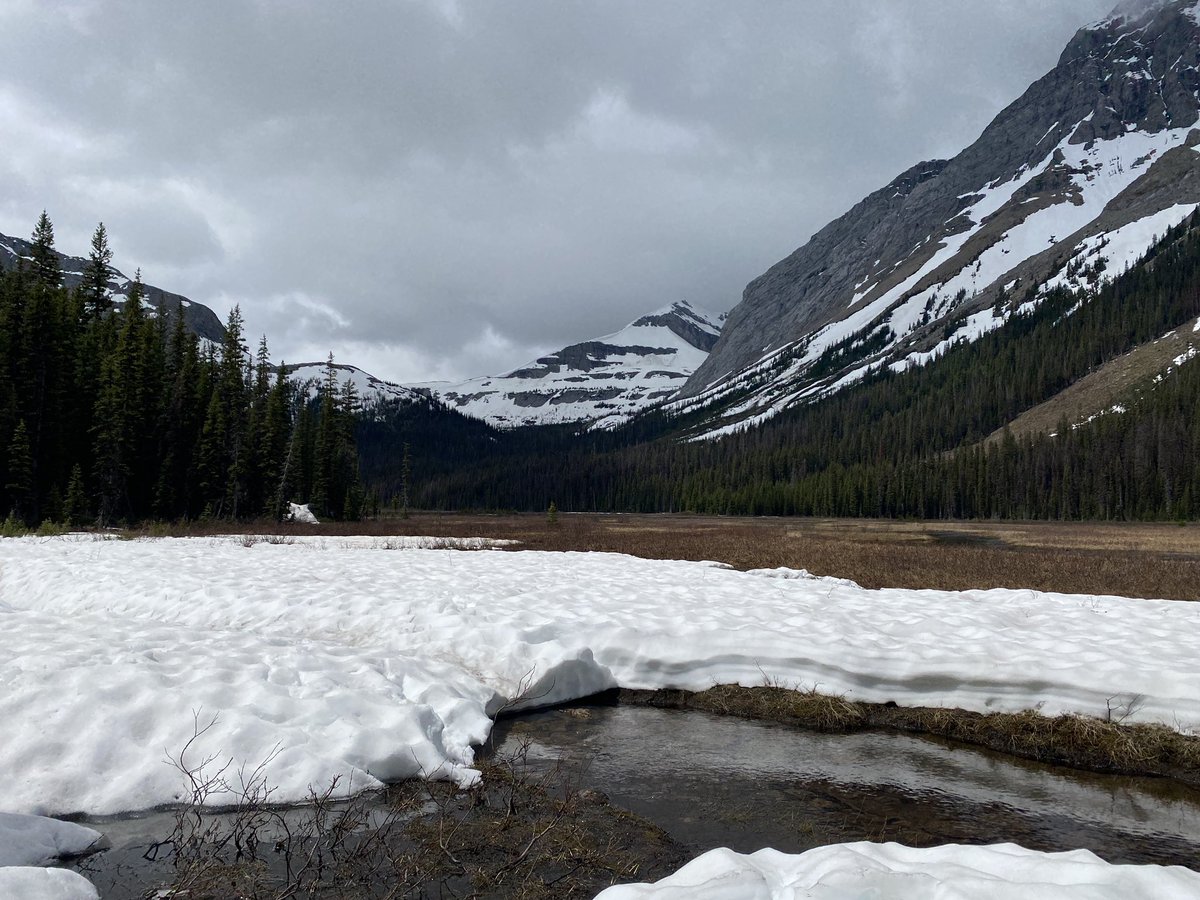 ericjamesmurray's tweet photo. A few shots taken today at Burstall wetland. Been anxiously waiting for the snow to melt to begin my research.  I’ll be installing two sub-surface ground temp stations here in the next few days. @UW_Hydromet #hydrology https://t.co/O7jt86mFEm