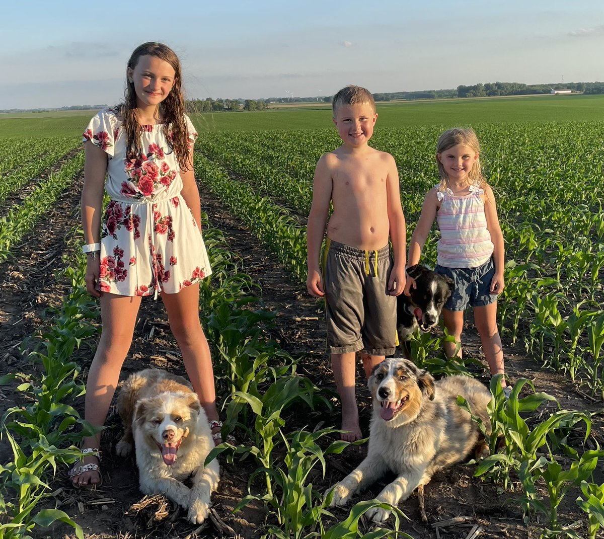 Jordan Davison tweet media