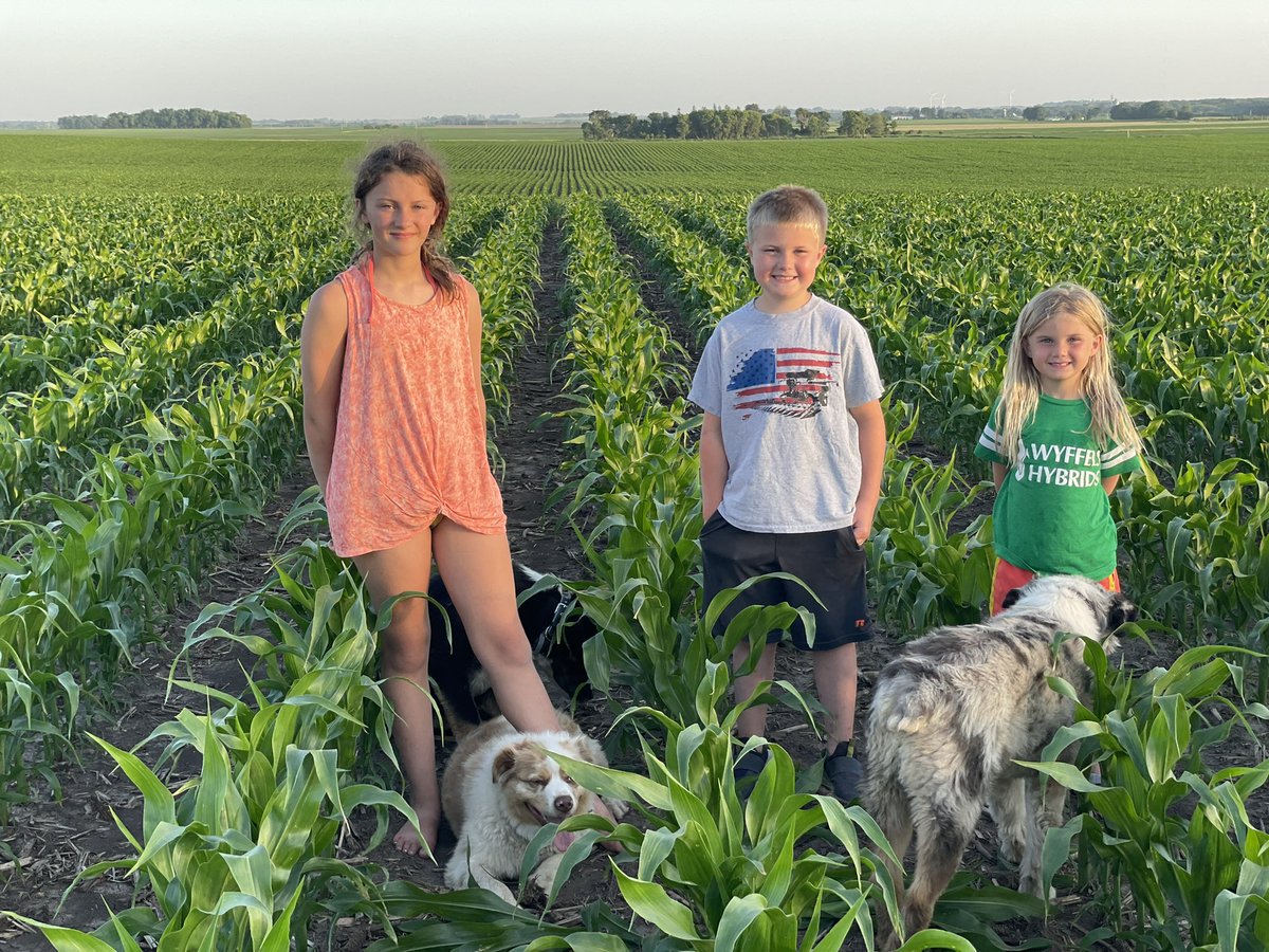 Jordan Davison tweet media