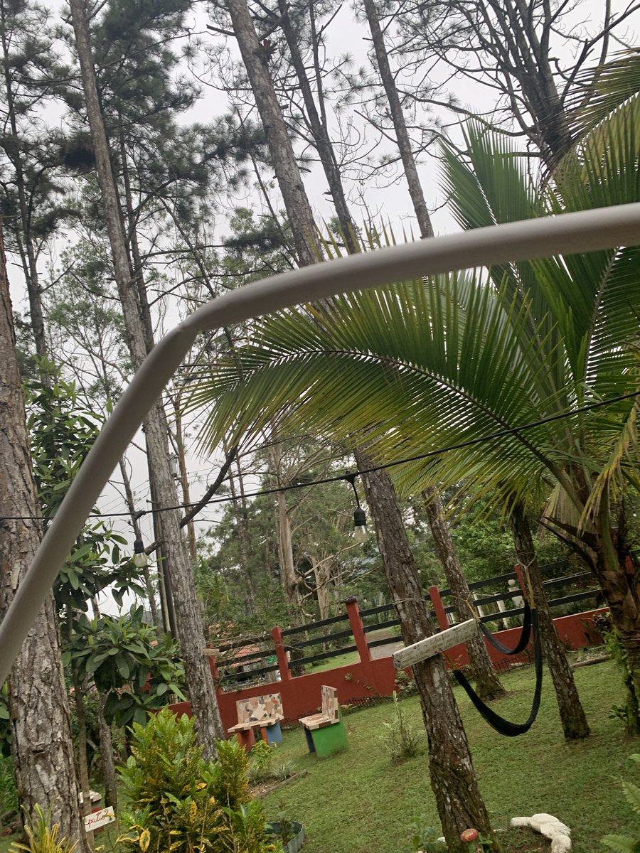 Soluciones Carvajal tweet media