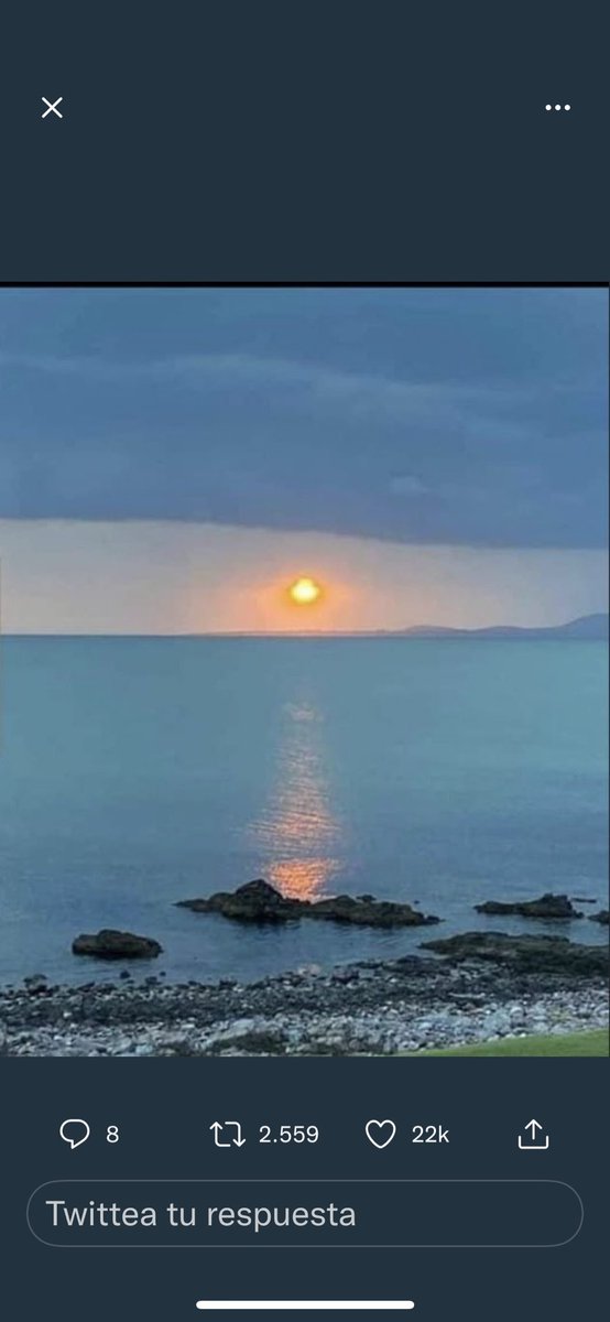 Patricia Garcia Arrigoni (@patoarrigoni) on Twitter photo 