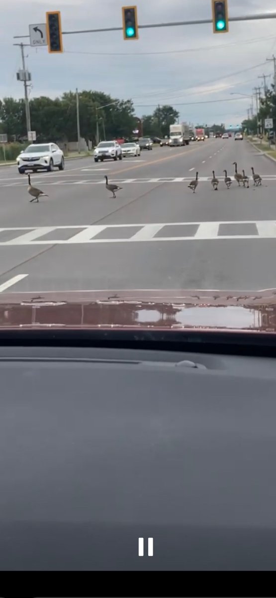 boomerrmj's tweet photo. #onlyinbuffalo https://t.co/5YBWCl6zed