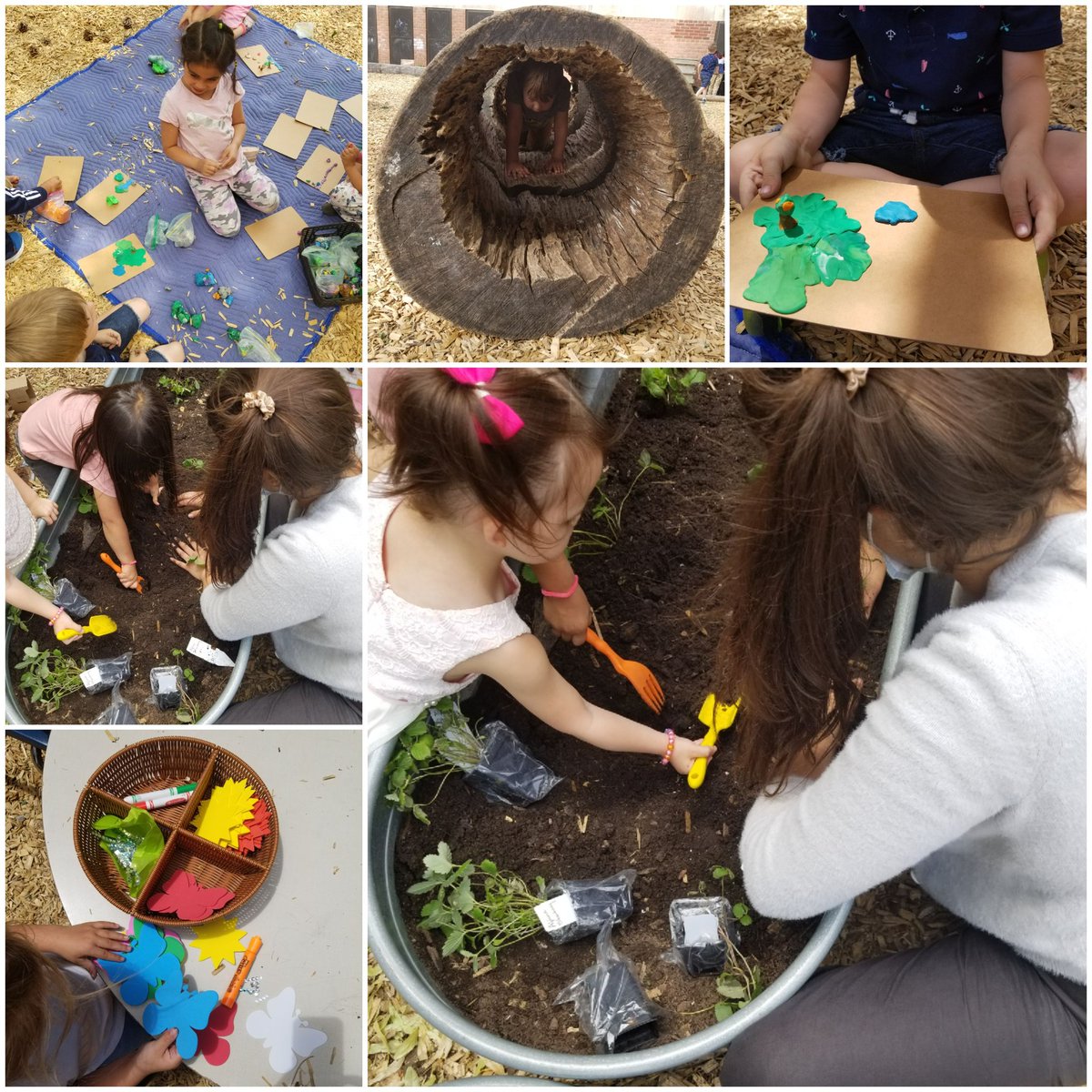 Suzy Arruda (@suzyarruda4) on Twitter photo The children and staff <a href="/TDSBFNST/">Wandering Spirit School</a> were excited to share our amazing kindergarten program with the new children and their families. The children and staff <a href="/TDSBFNST/">Wandering Spirit School</a> were excited to share our amazing kindergarten program with the new children and their families.