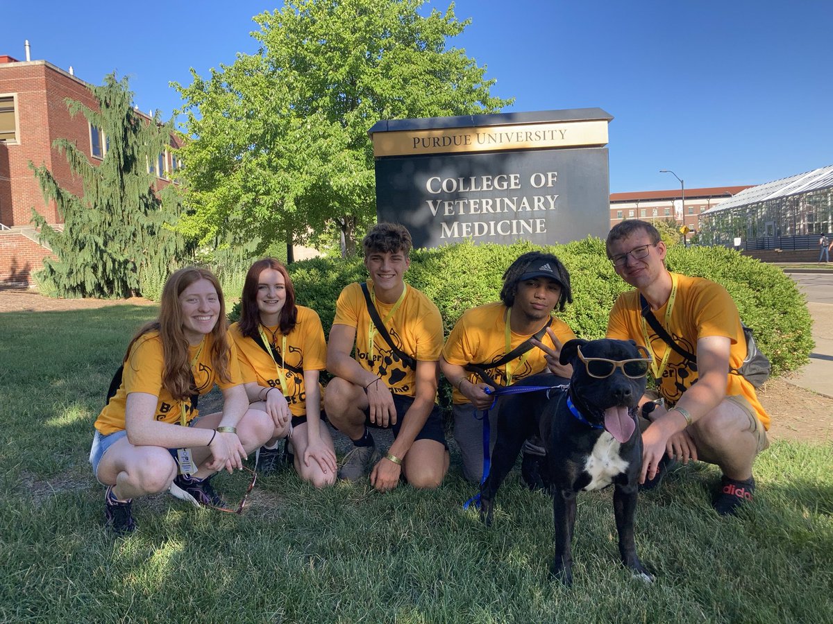 BoilerVetCamp's tweet photo. And that’s a wrap for day 1!
We learned about animal behavior, canine restraints, and parasitology. Time to rest, dream with puppies, and get ready to rock day 2.
#TeamMadMax https://t.co/eIZ2IVbRDU