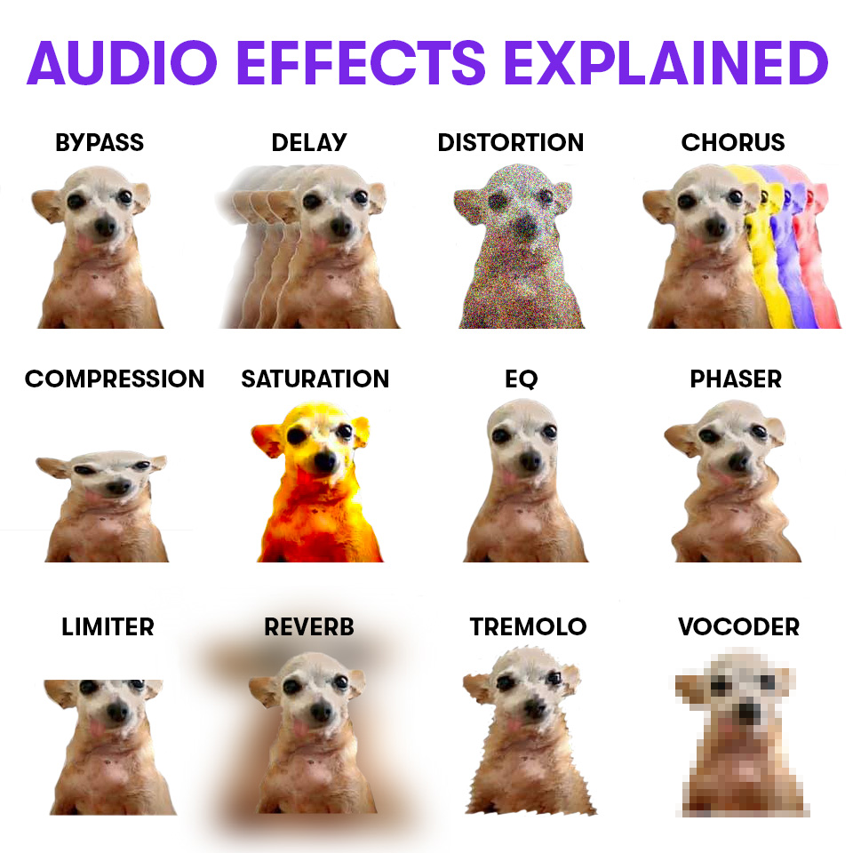 🐶 Audio effects explained
▶️ avid.com/pro-tools

#dog #audioeffects #sound #music #producer #mixing #recording #daw #protools #avid
