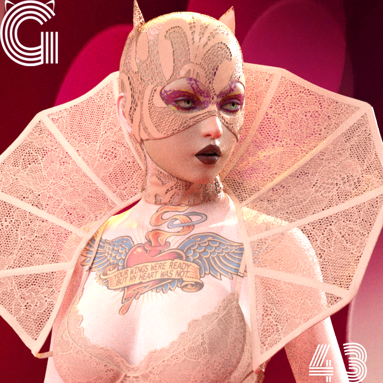 Gato 🐱 tweet media