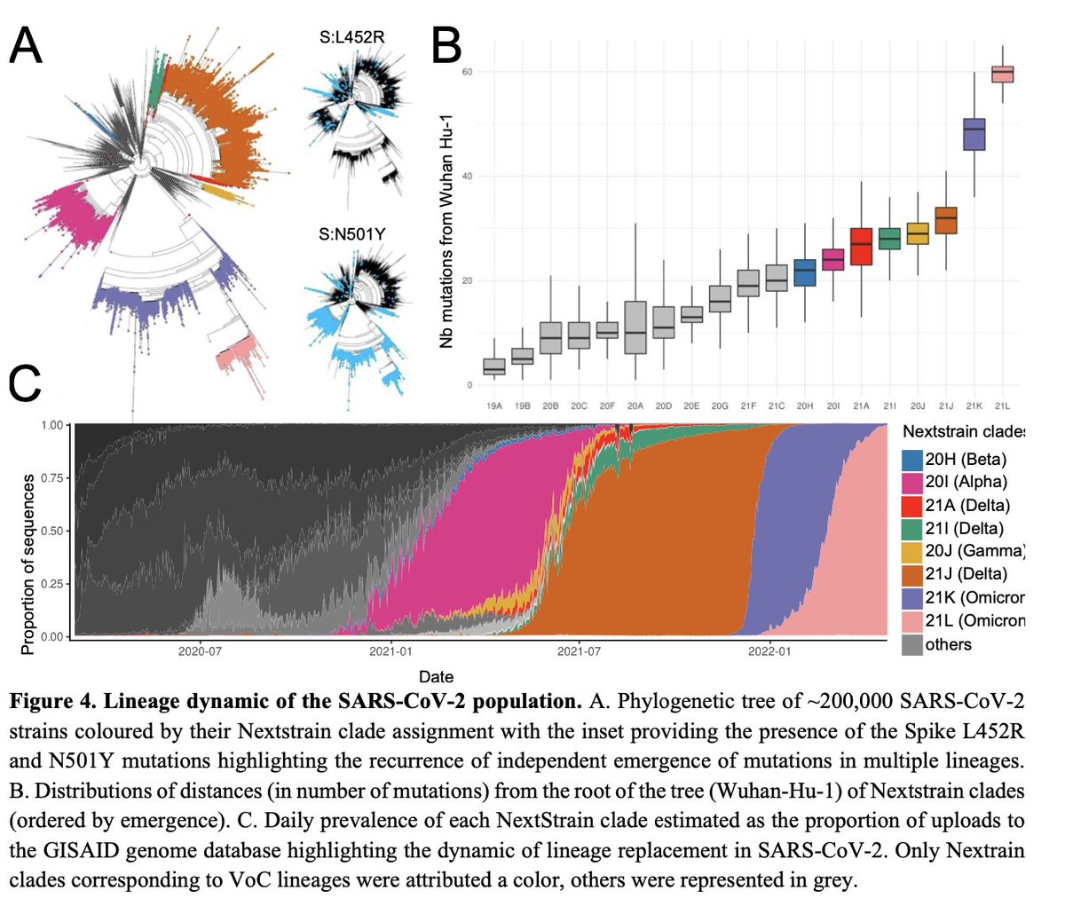 BallouxFrancois's tweet image. Our über-massive review on everything you always wanted to know about SARS-CoV-2, or didn't even know you wanted to know, or would have preferred not to know - but if you read it you'll know it (sorry), is out, peer-reviewed and open access.
academic.oup.com/ooim/advance-a…