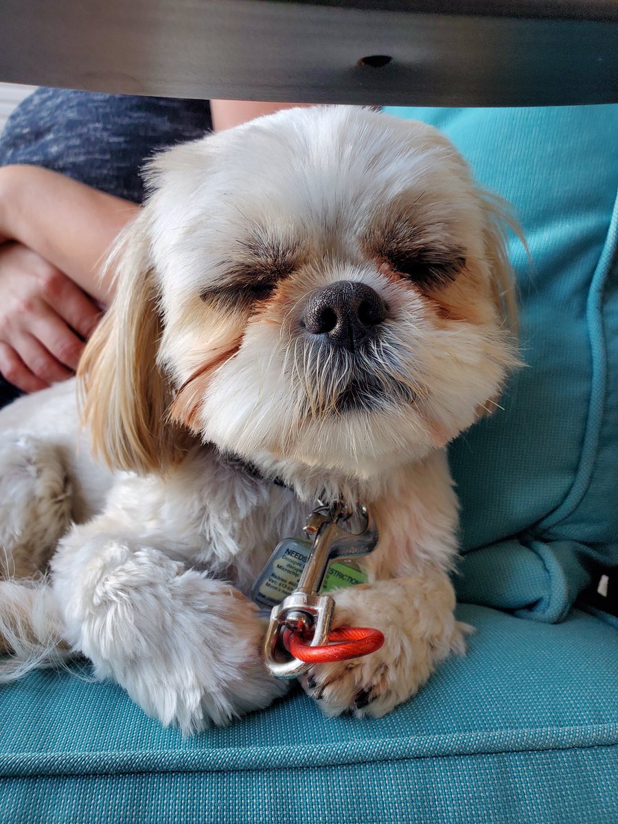 Deborah Smith tweet media