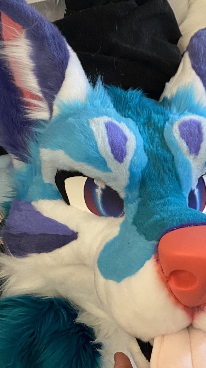 MadeFurYou's tweet photo. Soon! https://t.co/oYwgdojJY0