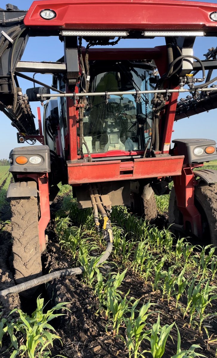 Jordan Davison tweet media