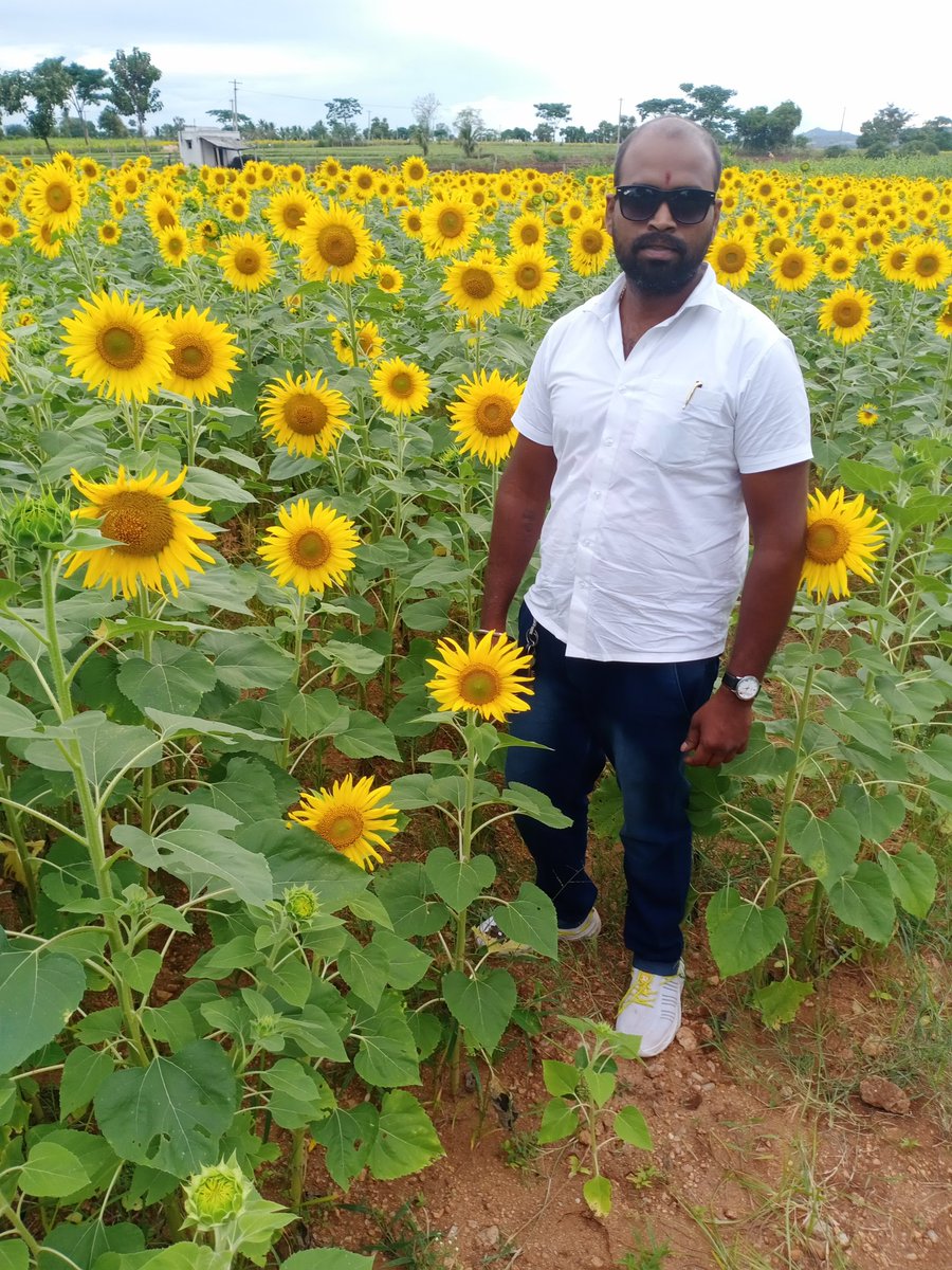 tiger_shashi's tweet photo. @NithinShantham1 https://t.co/glfYveI3rU