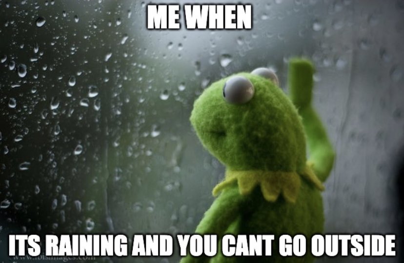 Ms. Holding tweet media