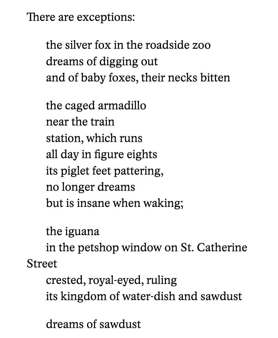 overthink_pod's tweet photo. If there's one thing you read this evening, let it be this brilliant essay by @DrPenaGuzman1 for @aeonmag on the philosophy &amp; science of animal dreaming.

A personal highlight: his analysis of Margaret Atwood's poem, 'Dreams of Animals' (1970)

https://t.co/VQa5aQM6V6 https://t.co/Asfdf72Scu