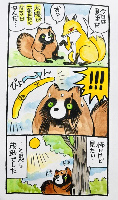 一年の中で昼が一番長い日!

#夏至 #たぬき #きつね 