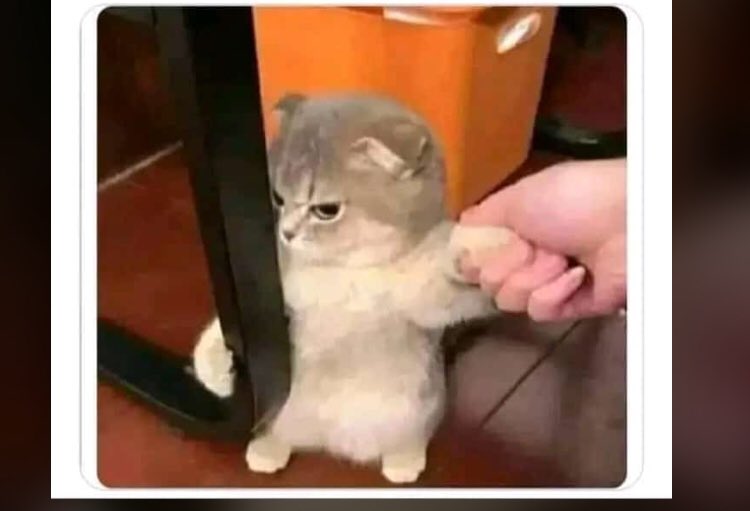 Castor_g_tbn's tweet photo. Ah BB Pa Fè Kolè Ou Pa  Kout Vre Cheri 😩 Ou Wo Bm Ann Le https://t.co/xVQ52DxY11