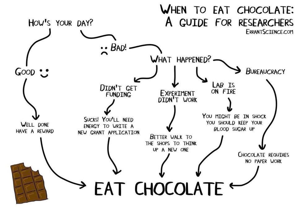 datavisFriendly's tweet photo. All paths lead to chocolate https://t.co/xkTZDg71Iu