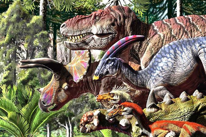 AFL media industry waiting on socials to catch players living their lives...