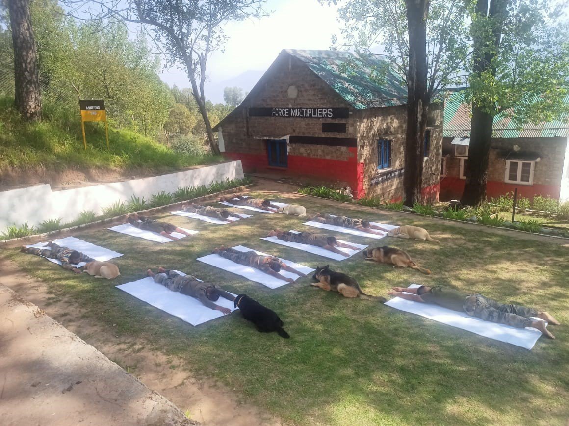htTweets's tweet photo. J&amp;K | Indian Army jawans and canine warriors participate in #InternationalDayofYoga celebrations, in Poonch. 

(Photos: PRO Defence)

Track #yogaday2022 updates: https://t.co/mtrUd1A9N9 https://t.co/CyxeO3UPc0