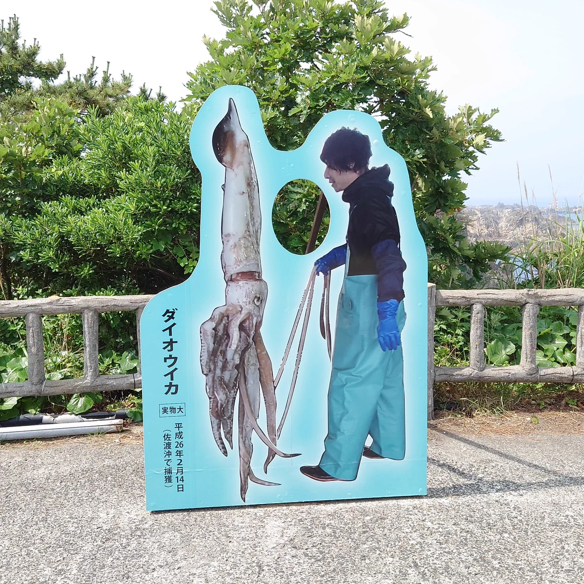 今まで見た顔ハメ看板の中で一番謎のシチュエーション、見つけました。