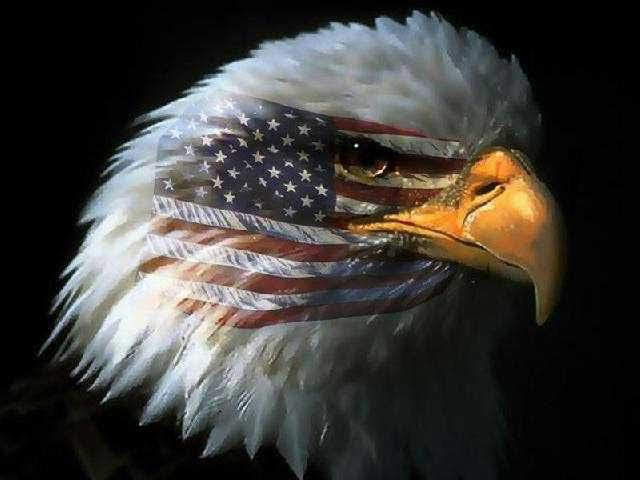 HeidiRe5150's tweet image. #Truth #PatriotsUnite #JordanRocks
👍❤️🗽😎🦅🇺🇲🚫🐂💩😉💥👊